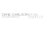 dane carlson_portfolio 2013