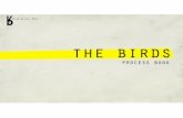Process Book - The Birds