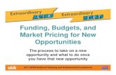 Funding Budgets and Market Pricing for New Opportunities-Presentation