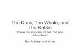 The Duck, the Whale and the Rabbit