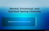 Mental, Emotional and Spiritual Cleaning