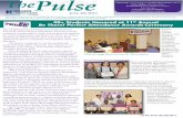 The Pulse - June 20, 2011