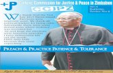 Catholic commission for justice & peace zimbabwe (ccjpz) bulletin no2
