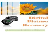 Digital Photo Picture Recovery