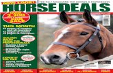 Horse Deals December 2012