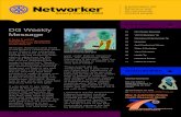 Networker - Issue 43