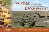 Stryker Cattle Co. Purebred Angus Female Dispersal