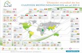 Agro bio mapa infografia cultivos biotec mundia 2013