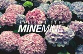 Mine Mine Spring/Summer 2014