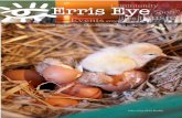 Erris Eye Issue 28