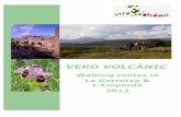 Verd Volcànic: walks