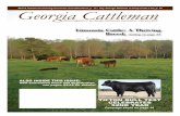 February Georgia Cattleman