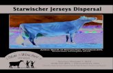 Starwischer Jerseys Dispersal