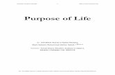 Quran learning for kids - What is purpose of life