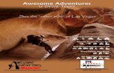Awesome Adventures U Drive Tours