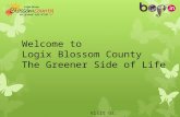 Logix Blossom County