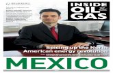 Oil and Gas Mexico report 2014