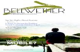 Bellwether - A Blytheco, LLC Magazine