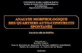 Morphological Analysis of spontaneous self-built neighborhoods in Batna City (Algeria)