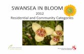 Swansea in Bloom_Residential categories images