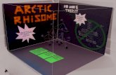 New Hierarchies - Arctic Rhizome