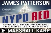 NYPD Red: The First 22 Chapters