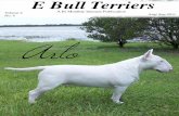 E Bull Terriers Aug/ Sept 2011 edition