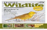 Irish Wildlife Winter 2012