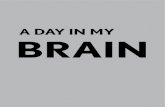 a day in my brain