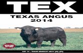 Texas Angus Bull Sale Catalogue
