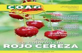 Revista COAG-Jaén junio 2014