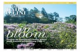The Daily Illini: In Bloom