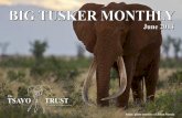 Tsavo Trust | BIG TUSKER MONTHLY | June 2014