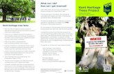 tcv Kent Ancient Trees leaflet