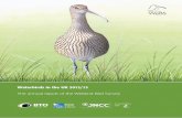 Waterbirds in the UK 2012/13 - Wetland Bird Survey
