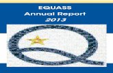 Equass annual report 2013