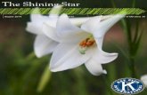 The Shining Star // The Official Newsletter of Division 38 // August Edition