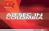 AIESEC en Colombia - LCP 2015 -  Manual of functions