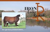 2014 Iron Lake Ranch brochure