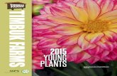 2015 Dummen Young Plants Catalog