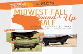 Wisconsin Simmental Association - 2014 Fall Harvest Sale