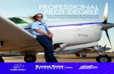 Professional Pilot KC