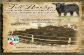 Krebs Ranch Fall Roundup Ad 2014