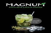 MAGNUM exclusive juice & drinks product catalogue 2015