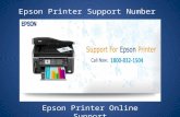 1-800-832-1504 Epson Printer Support Number