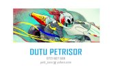 Dutu Petrisor Portfolio 2014