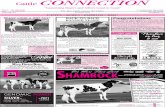 November 2014 Cattle Connection