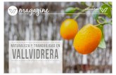 Vivendex Magazine - Naturaleza y tranquilidad en Vallvidrera