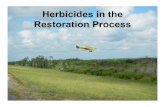 Aaron Tjelmeland - Herbicides in the Prairie Restoration Process