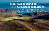 Sierras La Giganta and Guadalupe: The Backbone of Baja California Sur